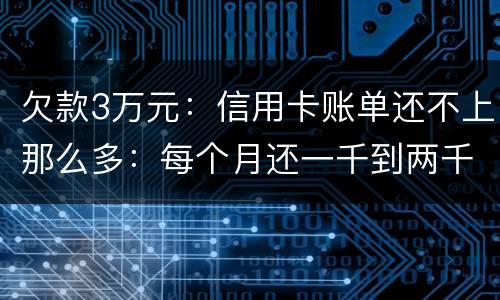 欠款3万元：信用卡账单还不上那么多：每个月还一千到两千元：请问还要做坐牢吗