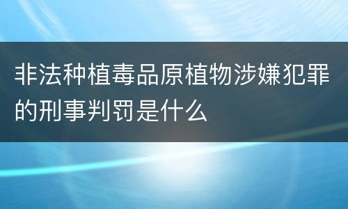 非法种植毒品原植物涉嫌犯罪的刑事判罚是什么