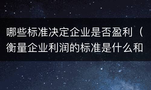哪些标准决定企业是否盈利（衡量企业利润的标准是什么和什么）