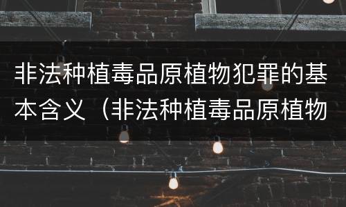 非法种植毒品原植物犯罪的基本含义（非法种植毒品原植物属于什么犯罪类型）