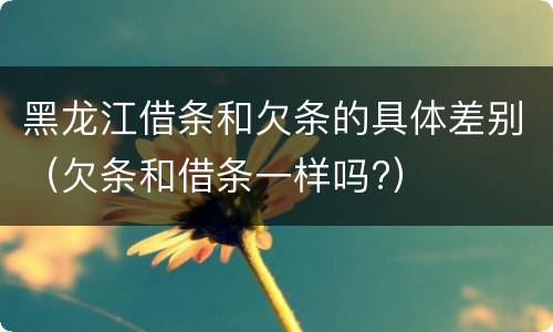 黑龙江借条和欠条的具体差别（欠条和借条一样吗?）