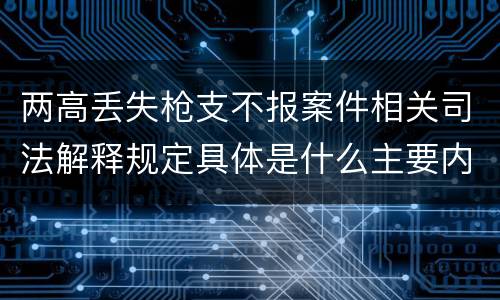 两高丢失枪支不报案件相关司法解释规定具体是什么主要内容