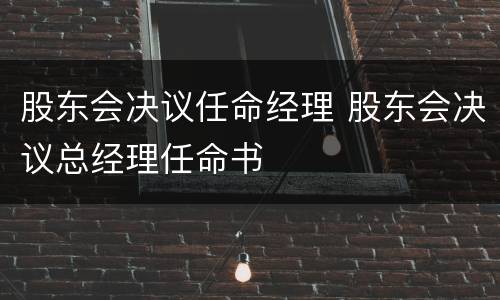 股东会决议任命经理 股东会决议总经理任命书