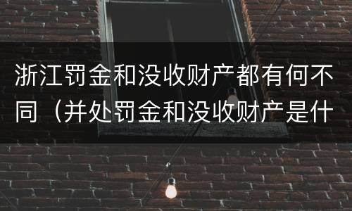 浙江罚金和没收财产都有何不同（并处罚金和没收财产是什么意思）