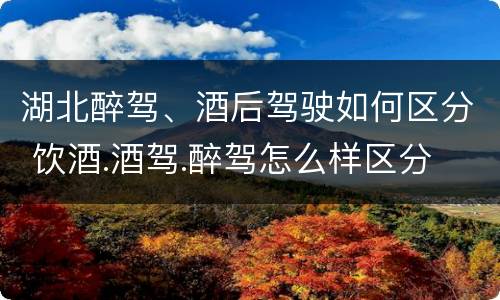 湖北醉驾、酒后驾驶如何区分 饮酒.酒驾.醉驾怎么样区分