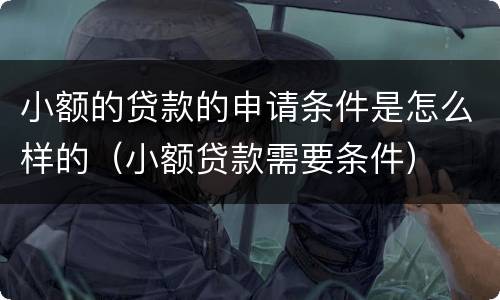 小额的贷款的申请条件是怎么样的（小额贷款需要条件）