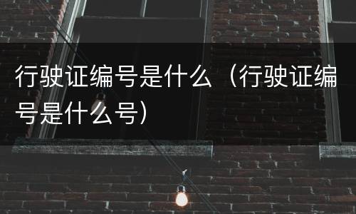 行驶证编号是什么（行驶证编号是什么号）