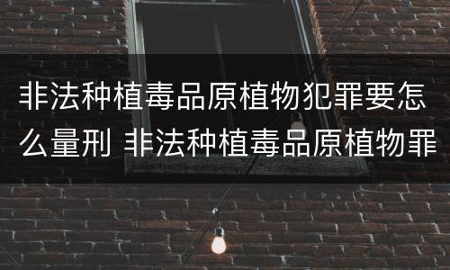 非法种植毒品原植物犯罪要怎么量刑 非法种植毒品原植物罪是什么犯罪类型