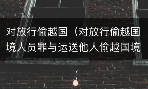 对放行偷越国（对放行偷越国境人员罪与运送他人偷越国境罪共犯）