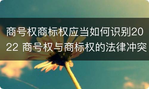 商号权商标权应当如何识别2022 商号权与商标权的法律冲突与解决