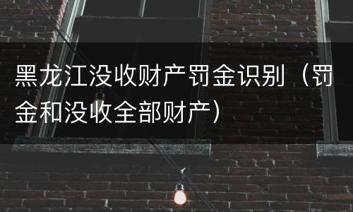 黑龙江没收财产罚金识别（罚金和没收全部财产）
