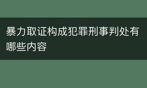 暴力取证构成犯罪刑事判处有哪些内容