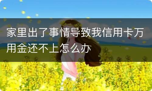 家里出了事情导致我信用卡万用金还不上怎么办