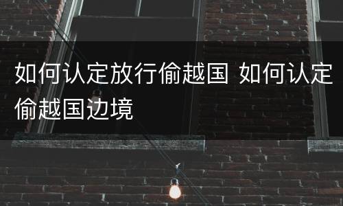如何认定放行偷越国 如何认定偷越国边境