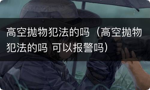 高空抛物犯法的吗（高空抛物犯法的吗 可以报警吗）