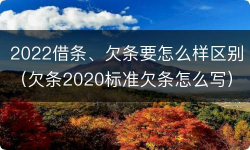 2022借条、欠条要怎么样区别（欠条2020标准欠条怎么写）
