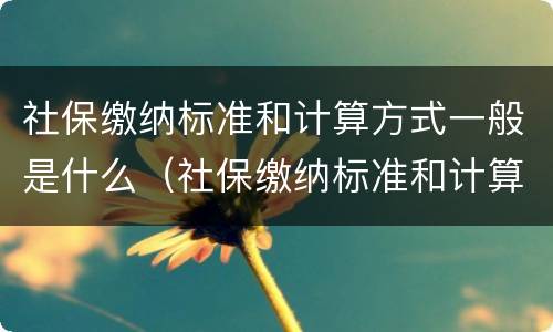 社保缴纳标准和计算方式一般是什么（社保缴纳标准和计算方式一般是什么区别）