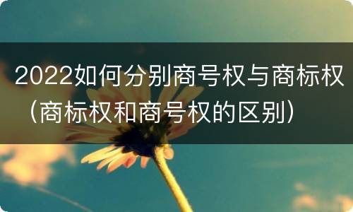 2022如何分别商号权与商标权（商标权和商号权的区别）