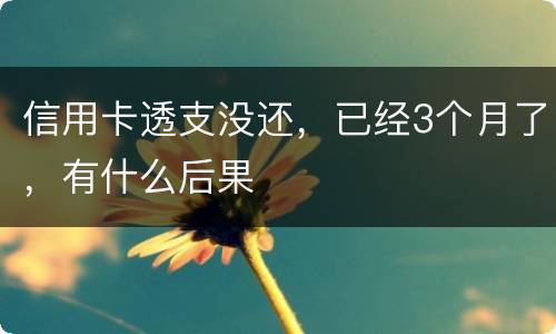 信用卡透支没还，已经3个月了，有什么后果