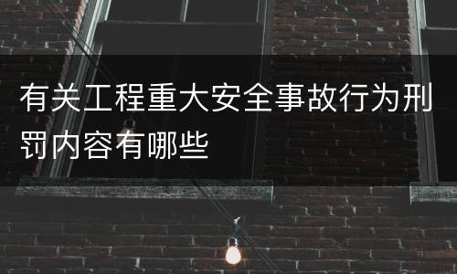 有关工程重大安全事故行为刑罚内容有哪些