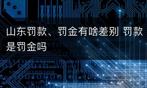 山东罚款、罚金有啥差别 罚款是罚金吗