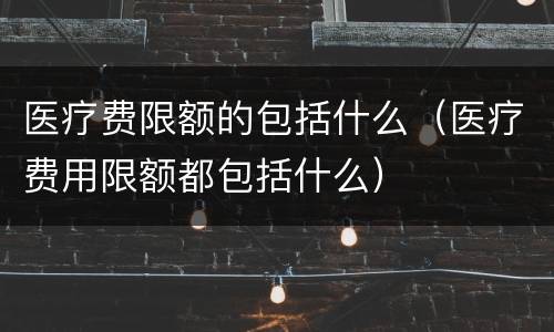 医疗费限额的包括什么（医疗费用限额都包括什么）
