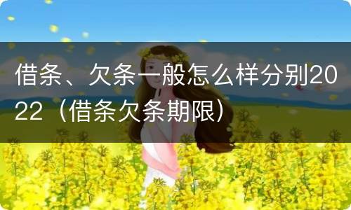 借条、欠条一般怎么样分别2022（借条欠条期限）