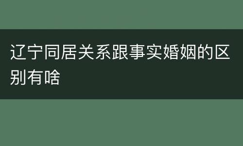 辽宁同居关系跟事实婚姻的区别有啥