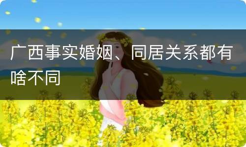 广西事实婚姻、同居关系都有啥不同