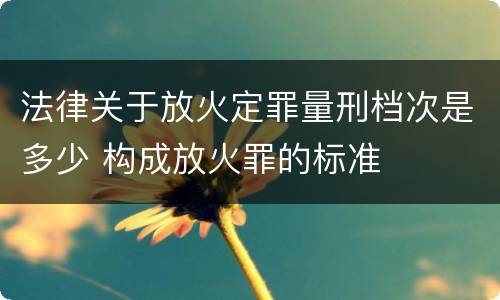法律关于放火定罪量刑档次是多少 构成放火罪的标准