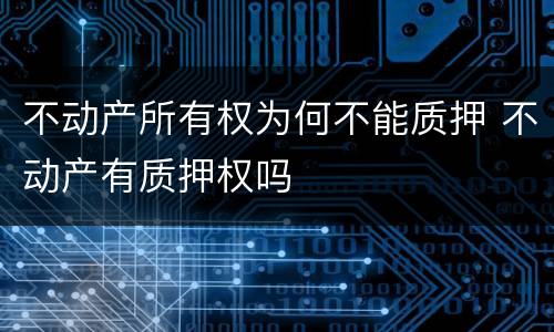 不动产所有权为何不能质押 不动产有质押权吗