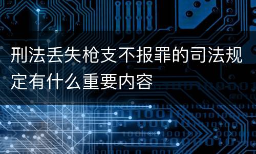 刑法丢失枪支不报罪的司法规定有什么重要内容