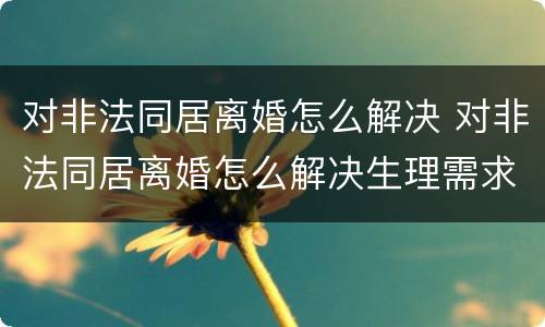 对非法同居离婚怎么解决 对非法同居离婚怎么解决生理需求
