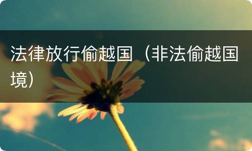 法律放行偷越国（非法偷越国境）