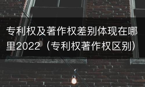 专利权及著作权差别体现在哪里2022（专利权著作权区别）