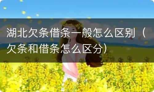 湖北欠条借条一般怎么区别（欠条和借条怎么区分）
