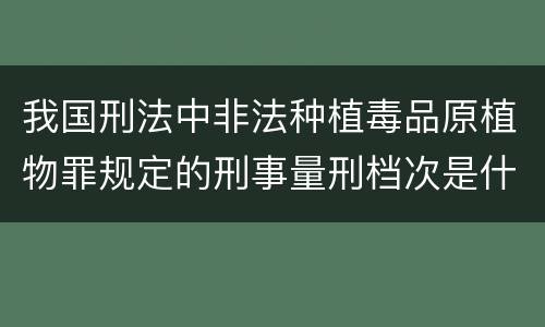 我国刑法中非法种植毒品原植物罪规定的刑事量刑档次是什么