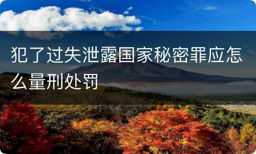 犯了过失泄露国家秘密罪应怎么量刑处罚