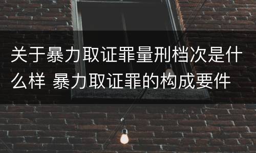关于暴力取证罪量刑档次是什么样 暴力取证罪的构成要件