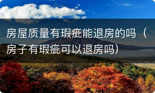 房屋质量有瑕疵能退房的吗（房子有瑕疵可以退房吗）