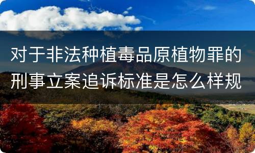 对于非法种植毒品原植物罪的刑事立案追诉标准是怎么样规定