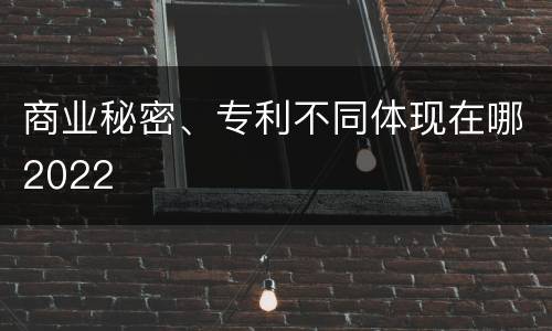 商业秘密、专利不同体现在哪2022
