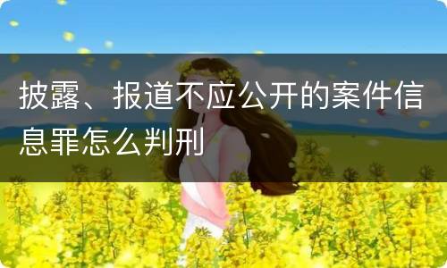 披露、报道不应公开的案件信息罪怎么判刑