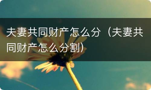 夫妻共同财产怎么分（夫妻共同财产怎么分割）