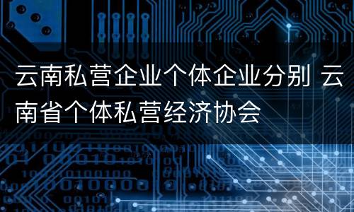云南私营企业个体企业分别 云南省个体私营经济协会