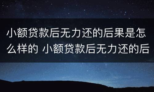 小额贷款后无力还的后果是怎么样的 小额贷款后无力还的后果是怎么样的呢