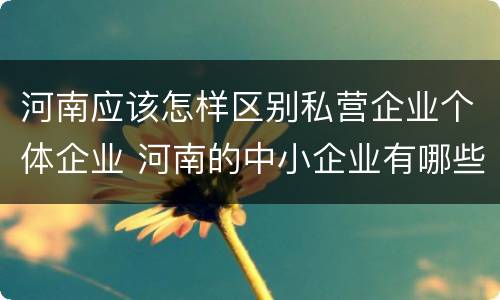 河南应该怎样区别私营企业个体企业 河南的中小企业有哪些