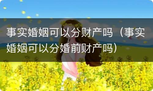 事实婚姻可以分财产吗（事实婚姻可以分婚前财产吗）