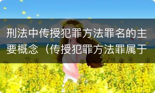 刑法中传授犯罪方法罪名的主要概念（传授犯罪方法罪属于什么犯罪类型）