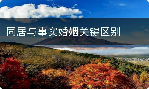 同居与事实婚姻关键区别